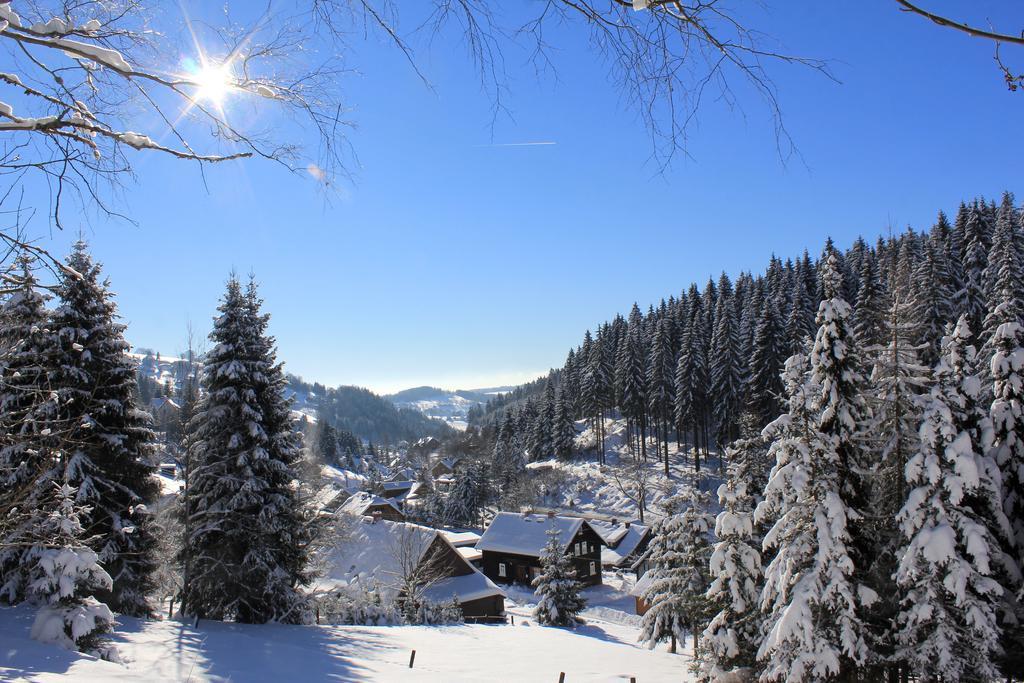 Fw. Glashuette Anno Dazumal Клингенталь Номер фото